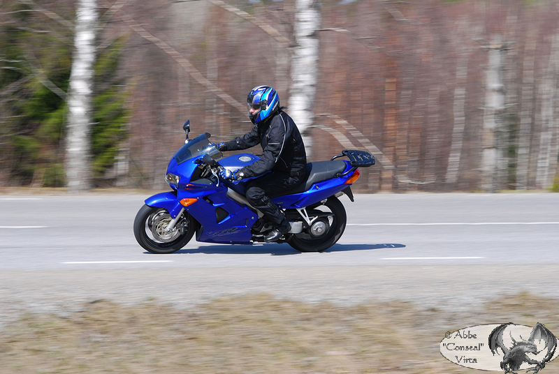 DSC_3671.JPG