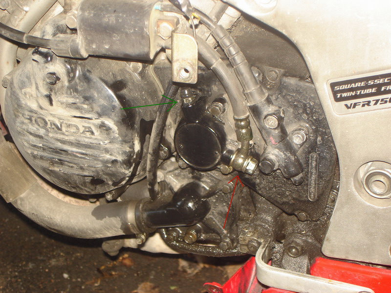 DSC03557_resize.JPG