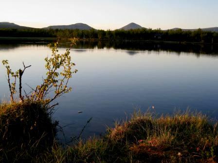 FiskelÃ¸ysa.JPG